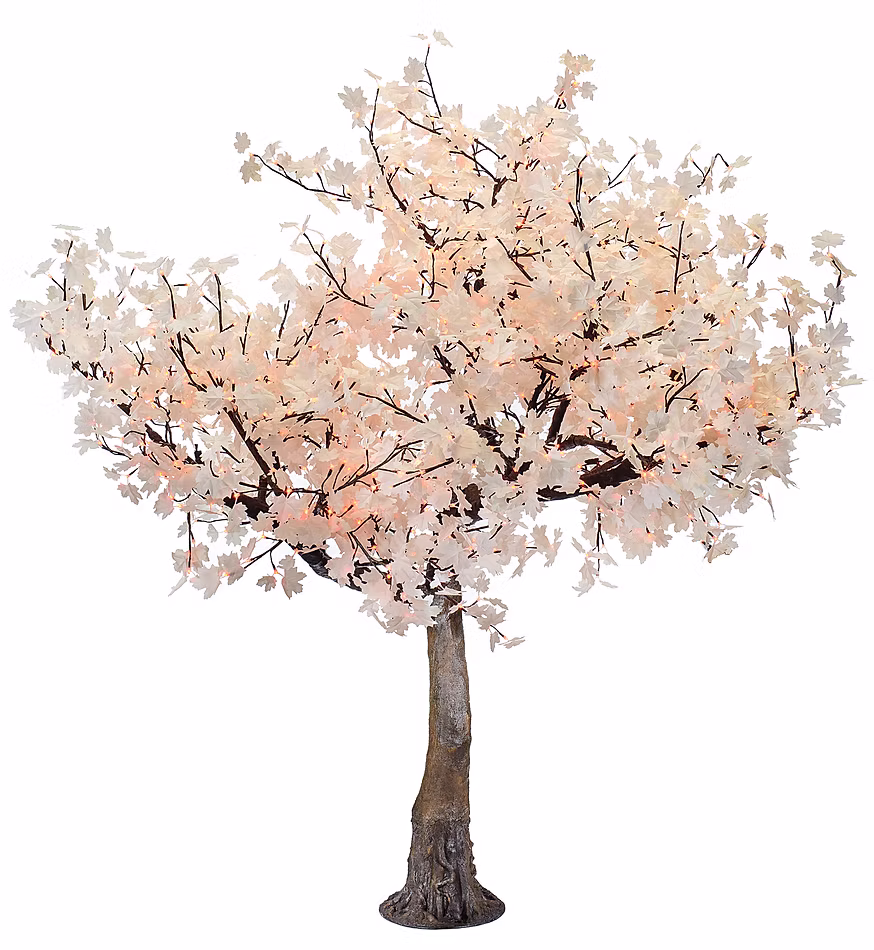 Illuminated Trees White Maple NBL-MT-240 cover image