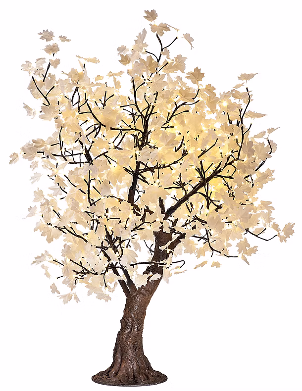 Illuminated Trees White Maple NBL-MT-145 cover image